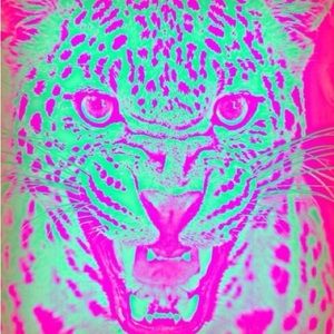 Meet your Posher, Simone